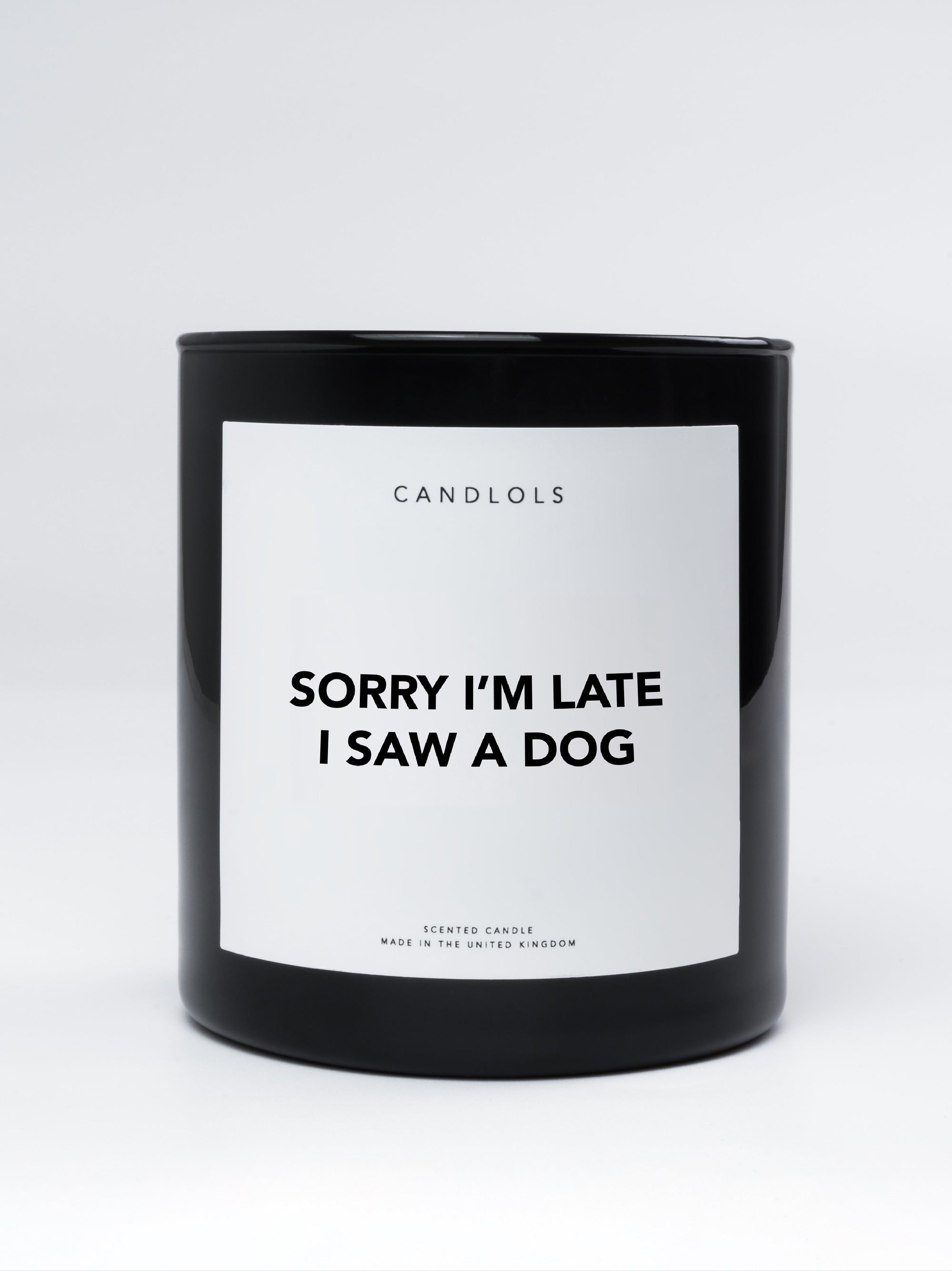 Sorry I'm Late I Saw A Dog, Luxury Scented Candle