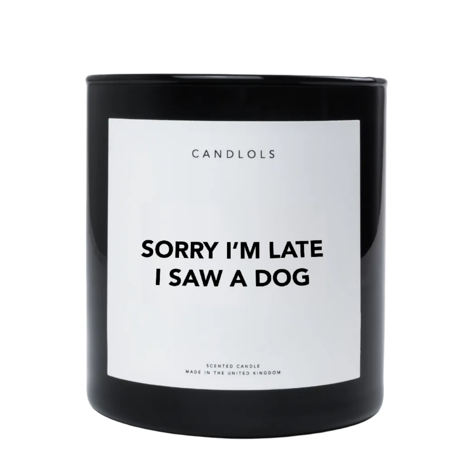 Sorry I'm Late I Saw A Dog, Luxury Scented Candle