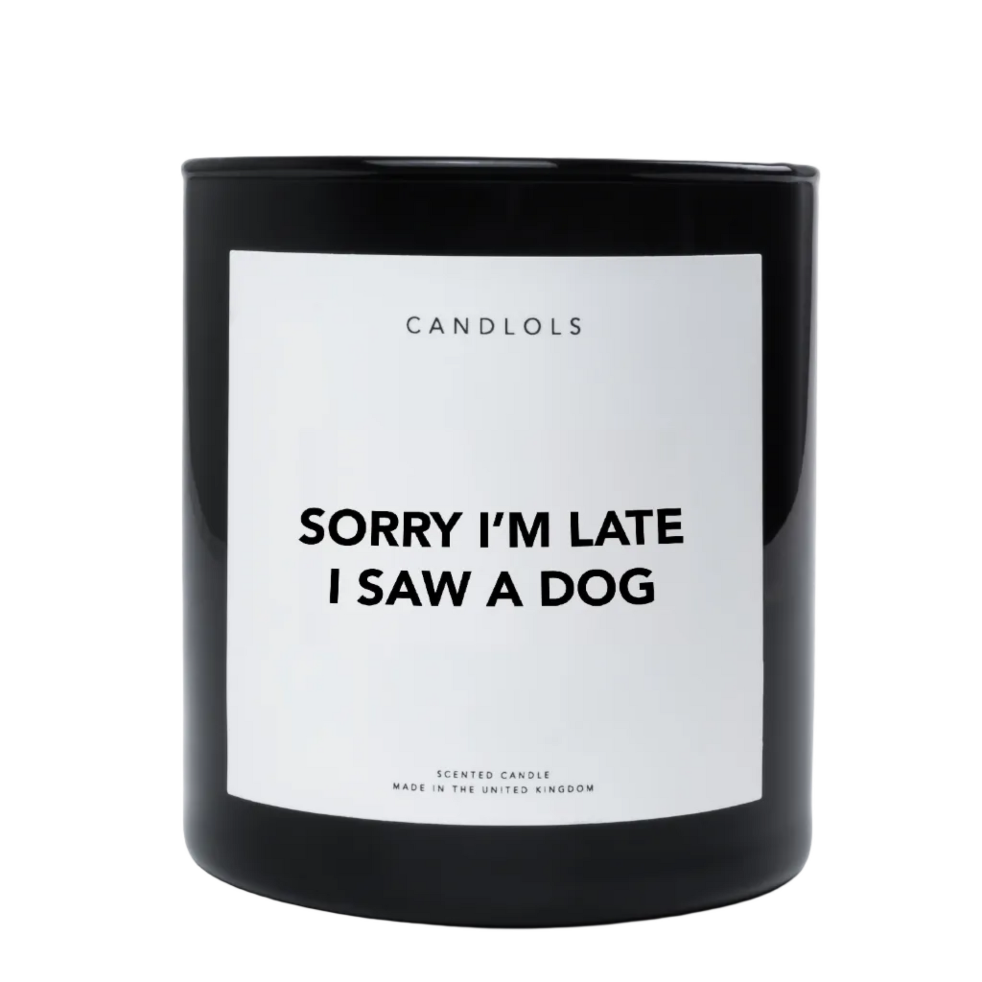 Sorry I'm Late I Saw A Dog, Luxury Scented Candle