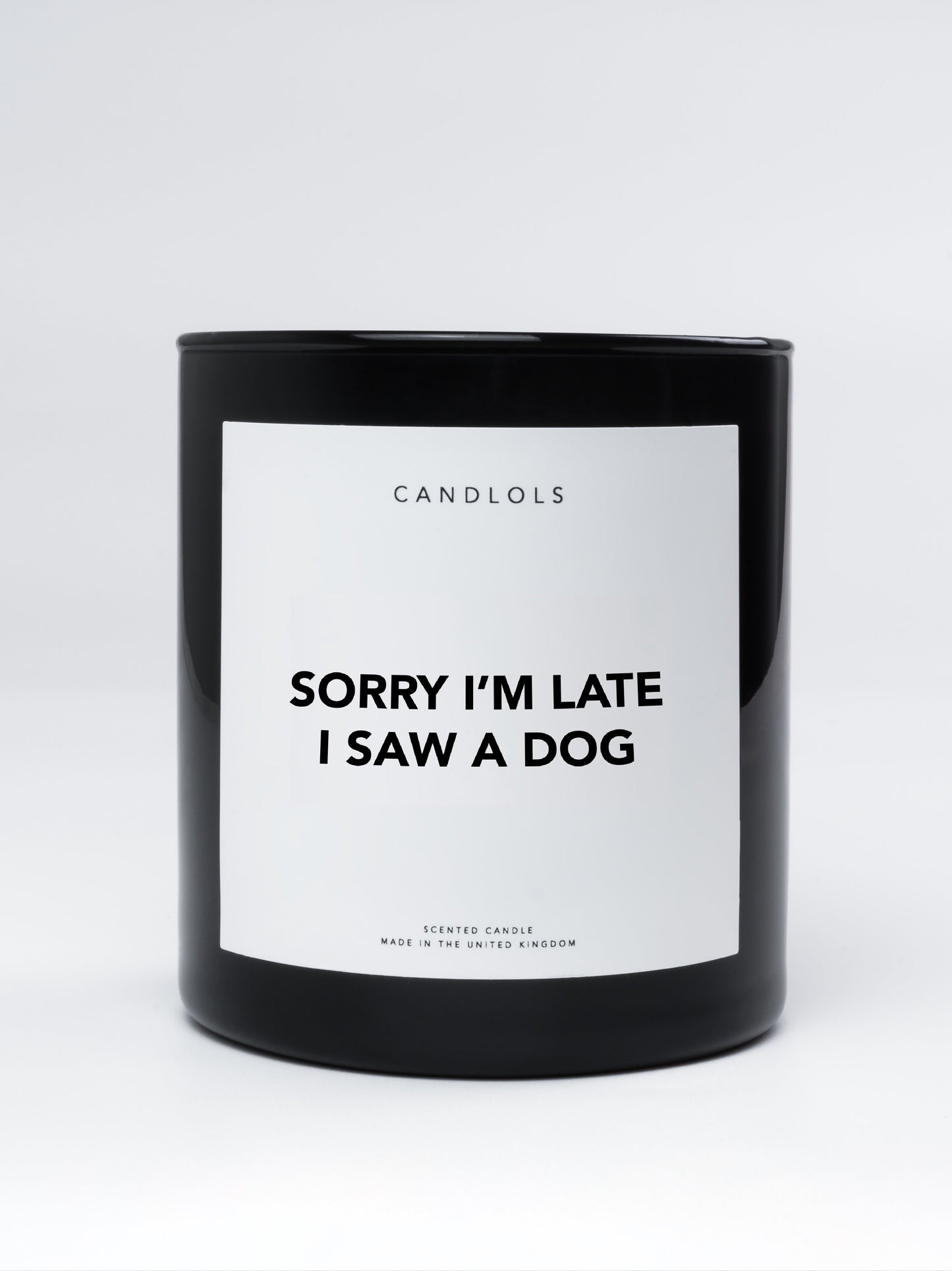 Sorry I'm Late I Saw A Dog, Luxury Scented Candle