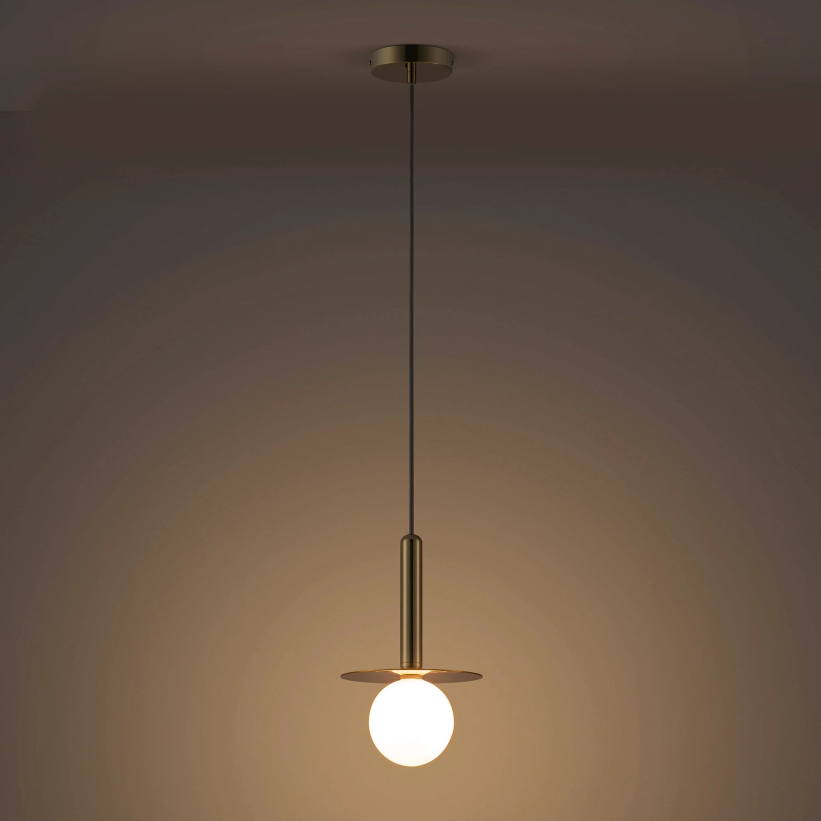 Brass Plate Pendant Ceiling Light
