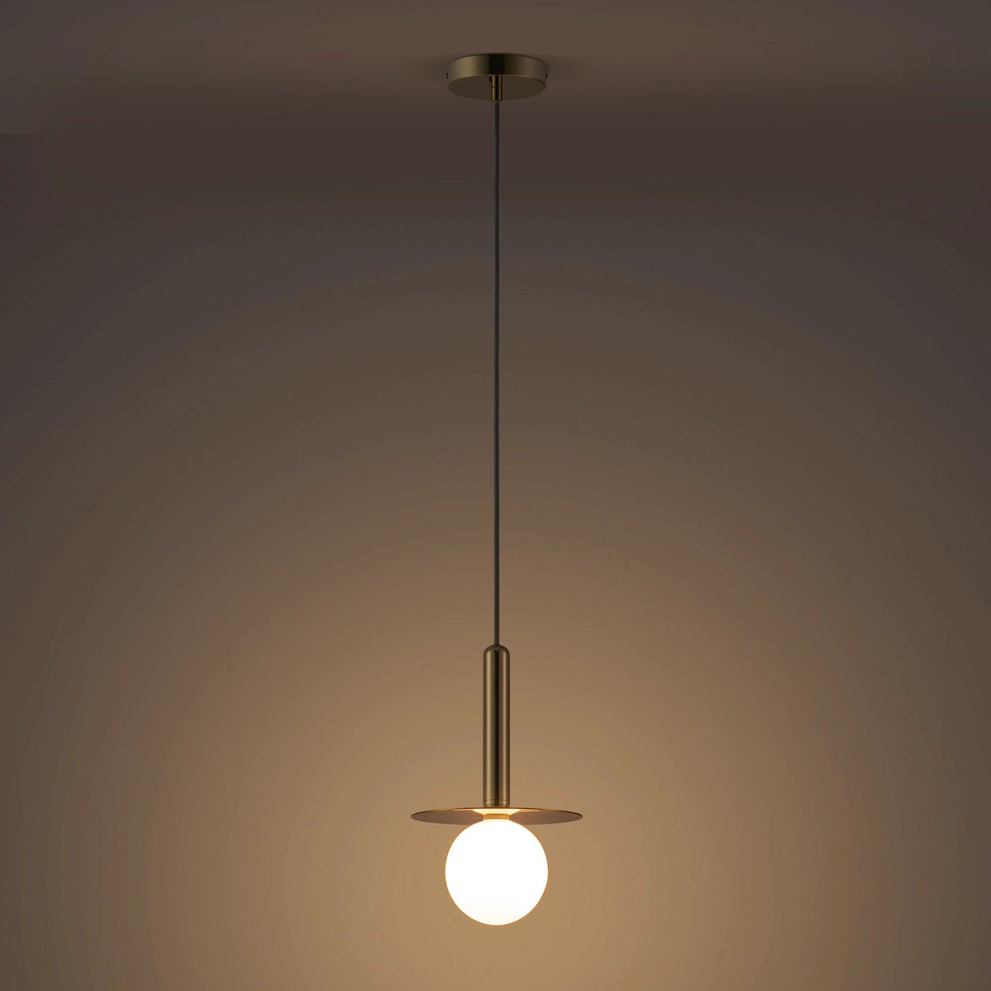 Brass Plate Pendant Ceiling Light