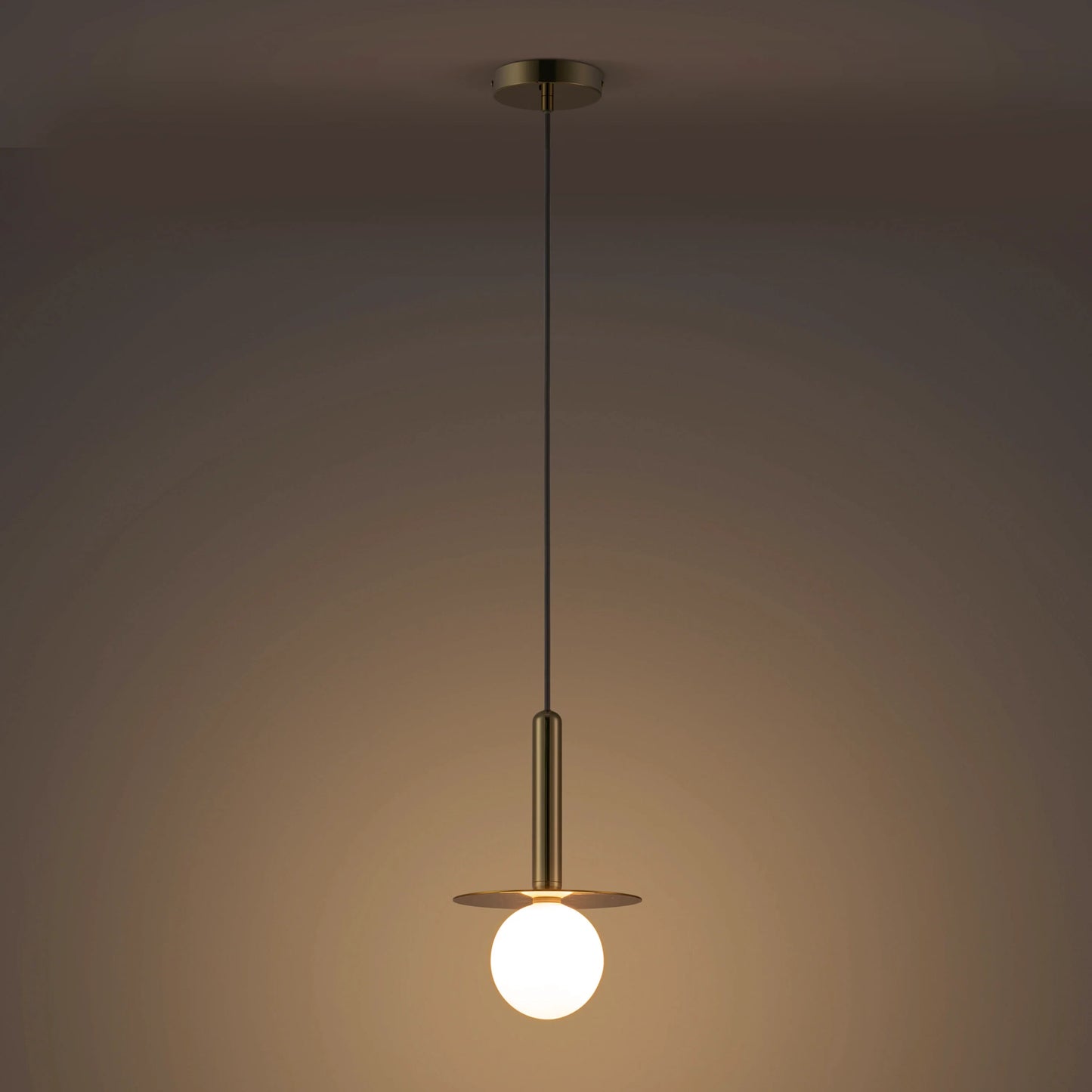 Brass Plate Pendant Ceiling Light