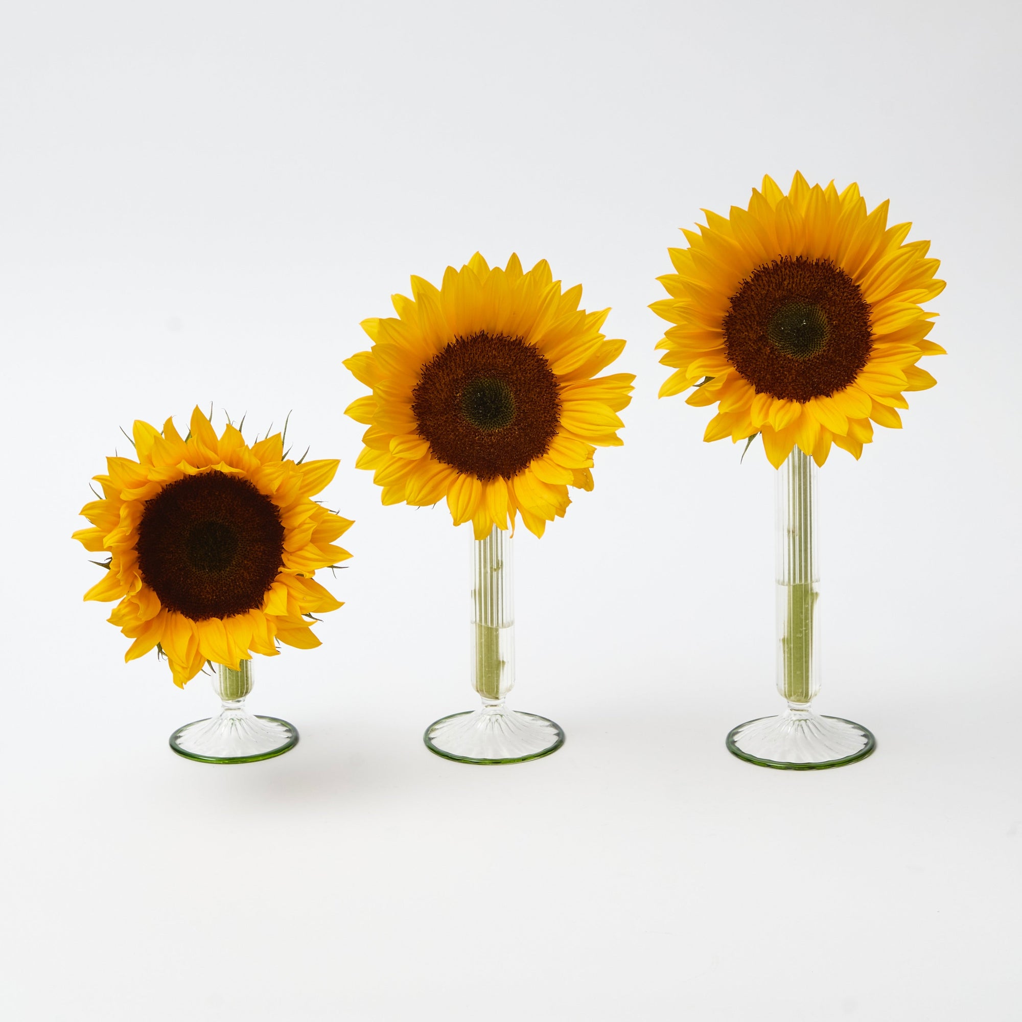 Fluted Single Stem Bud Vases (set of 3)
