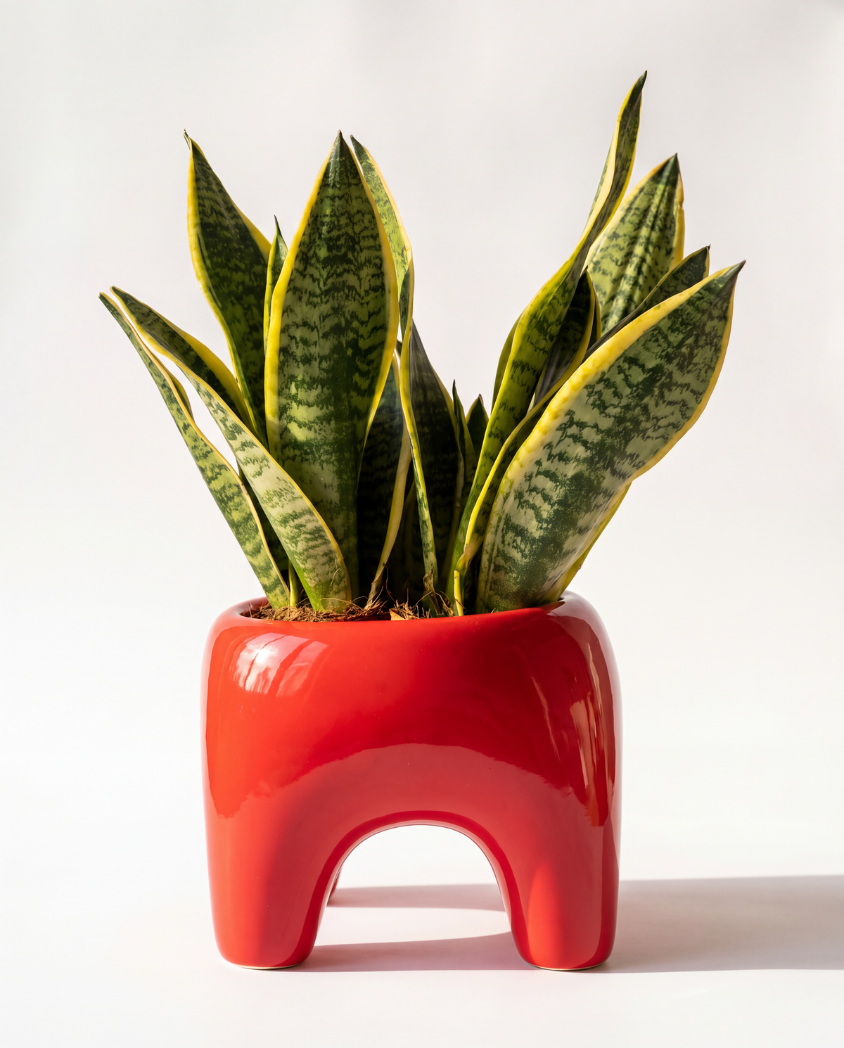 BUDDY Planter in Poppy Red