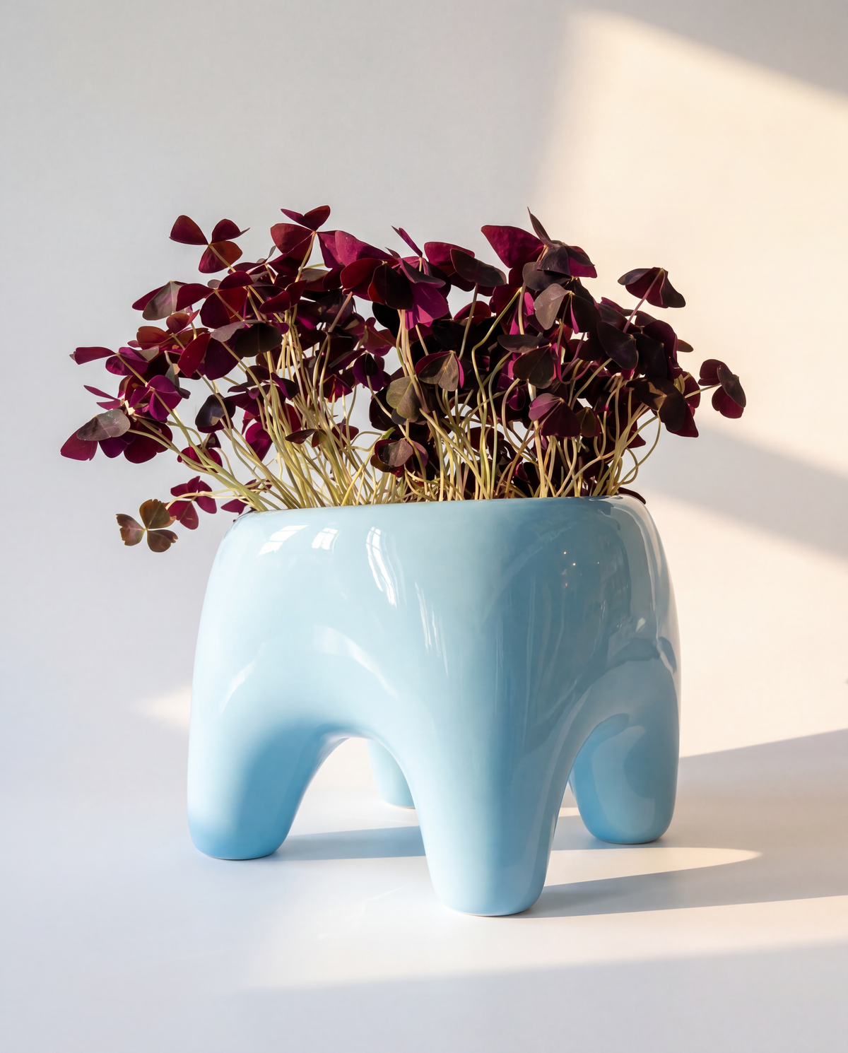 BUDDY Planter in Sky Blue