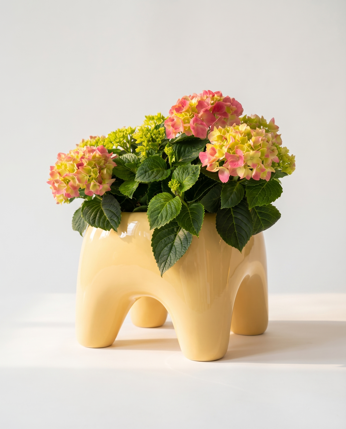 BUDDY Planter in Butter
