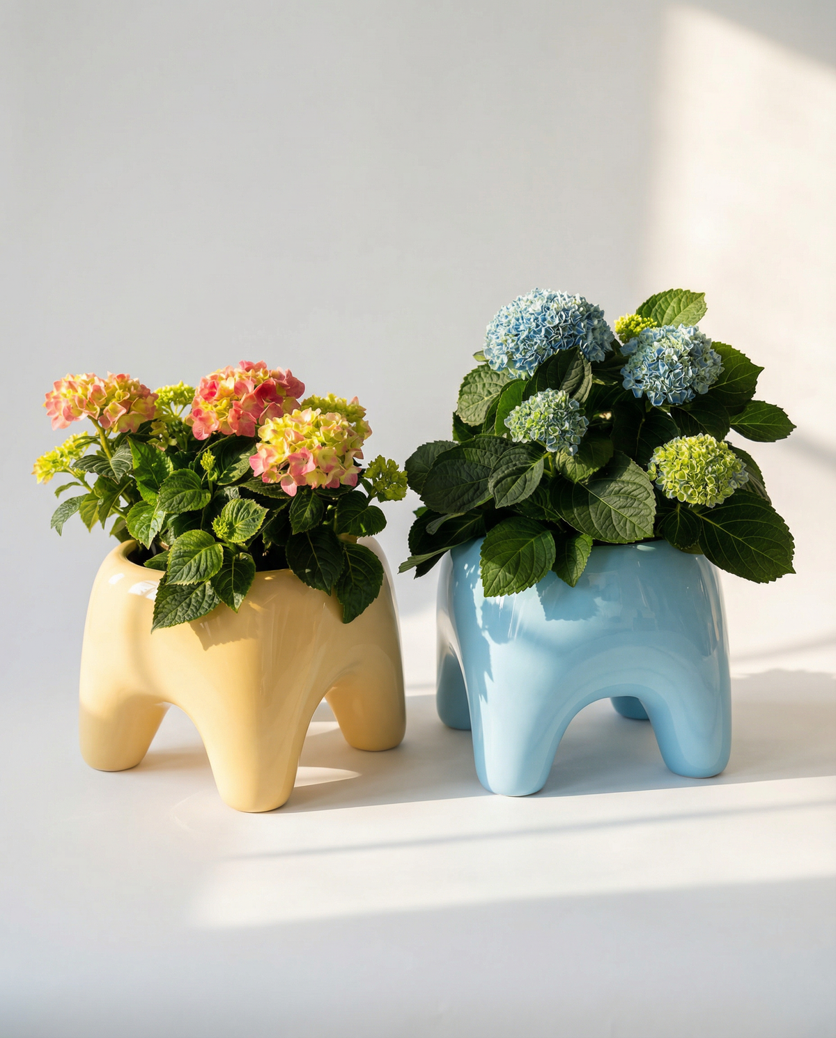 BUDDY Planter in Butter