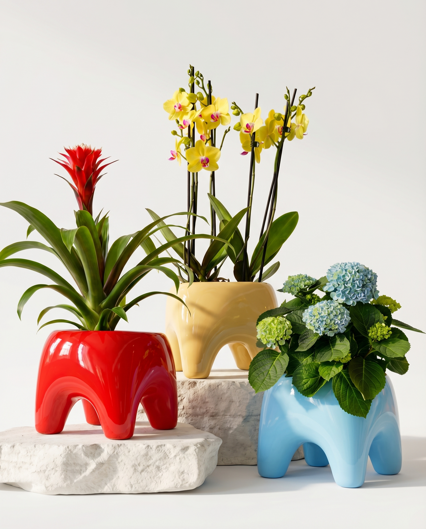 BUDDY Planter in Sky Blue