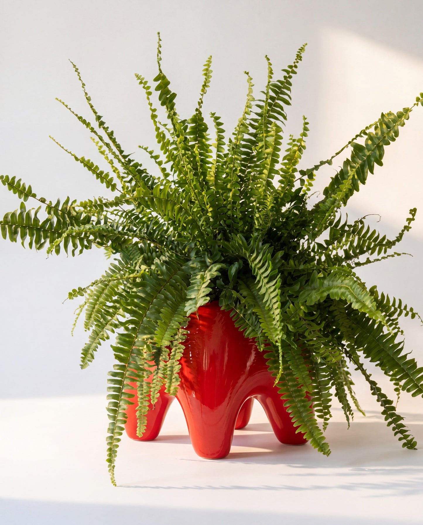 BUDDY Planter in Poppy Red