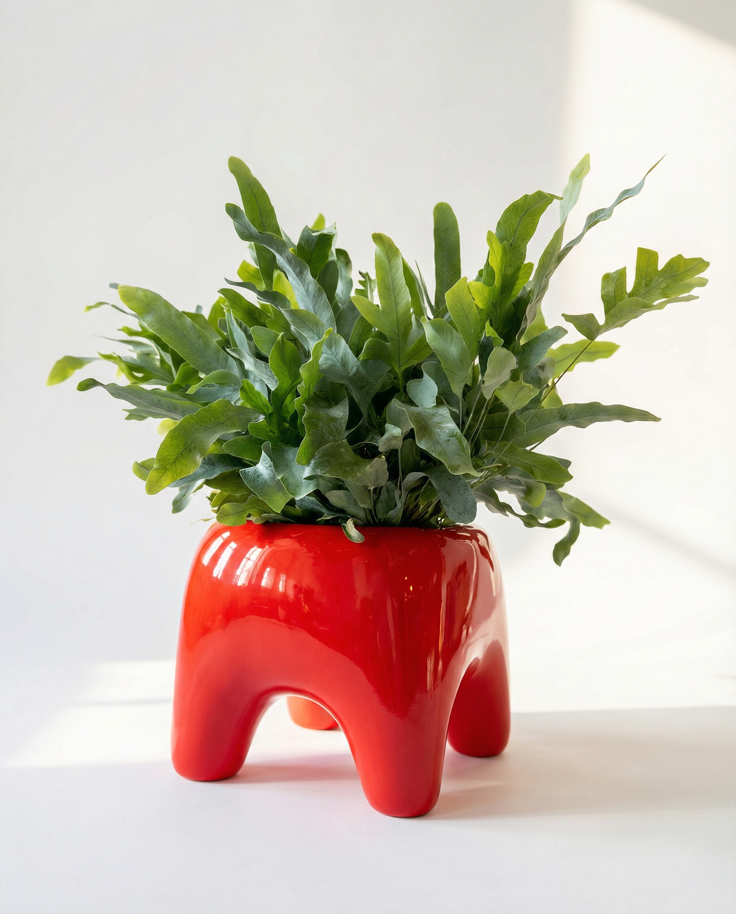 BUDDY Planter in Poppy Red