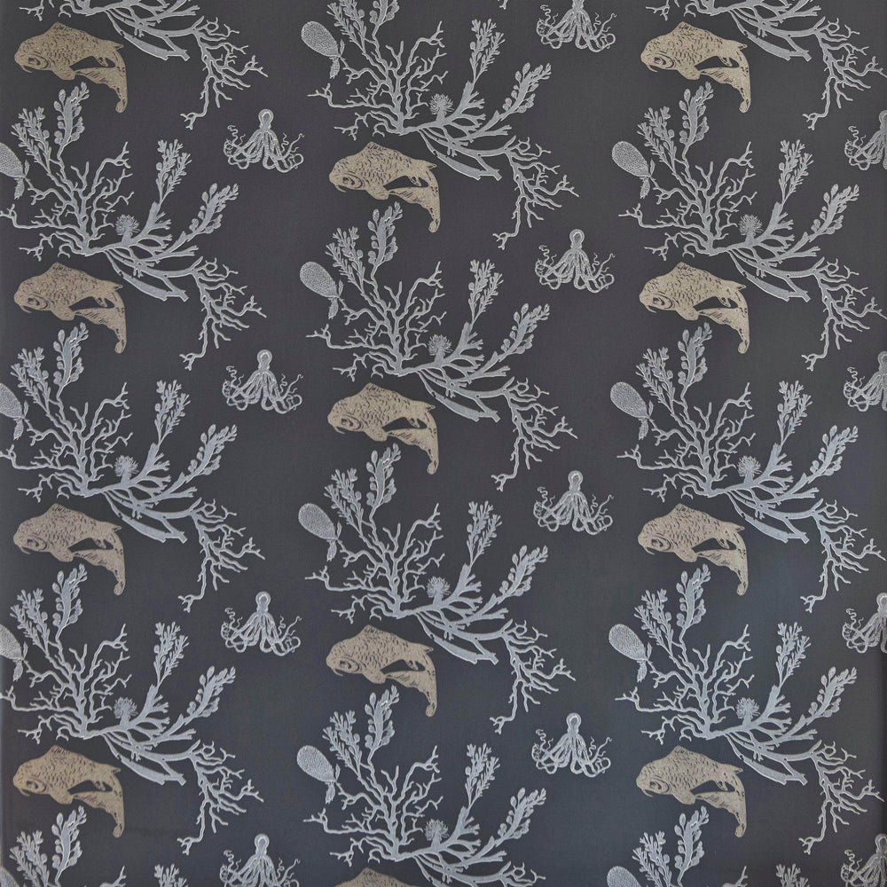 Coral Wallpaper