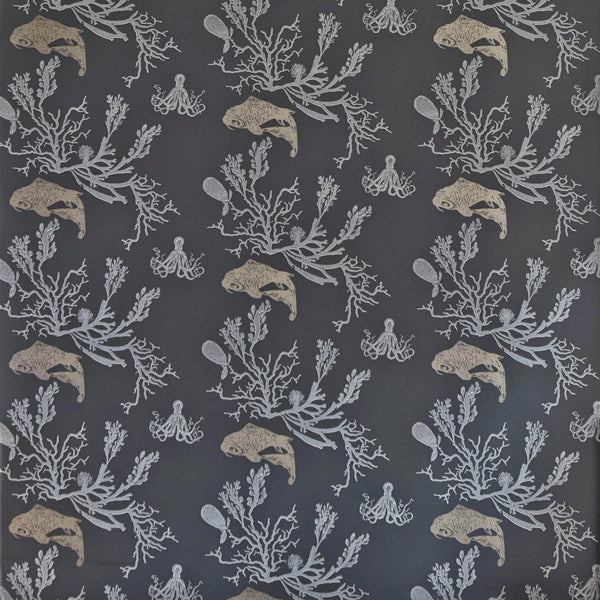 Coral Wallpaper
