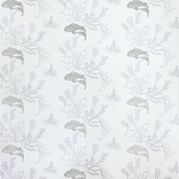 Coral Wallpaper