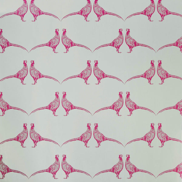 Pheasant Wallpaper