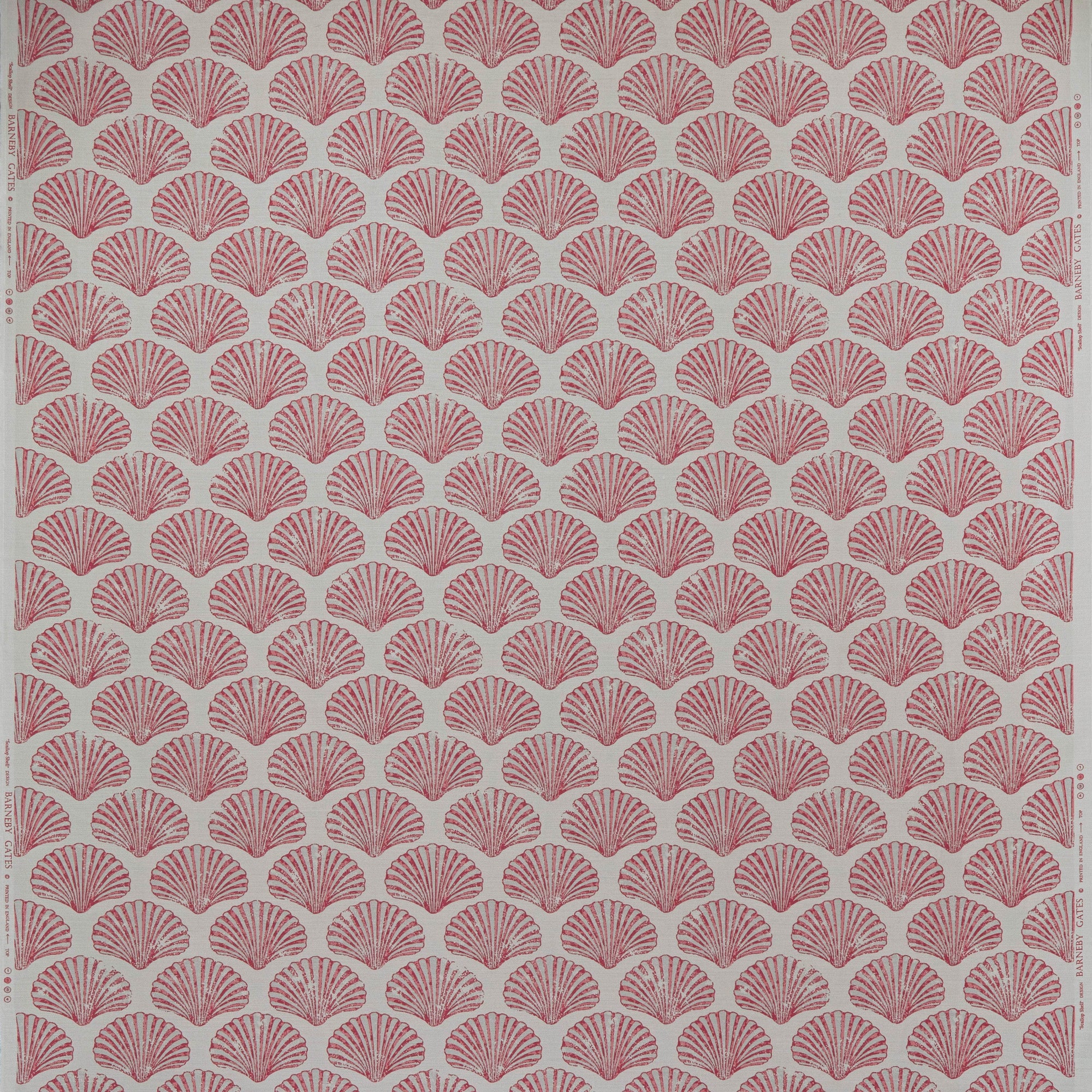 Scallop Shell Fabric