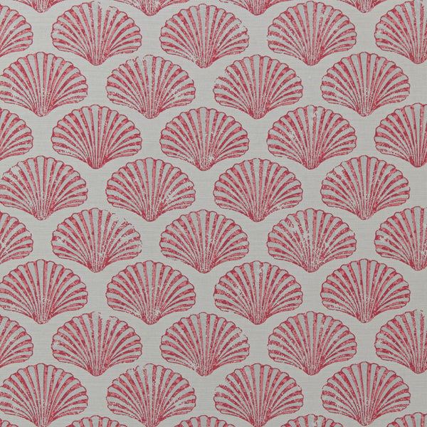Scallop Shell Fabric