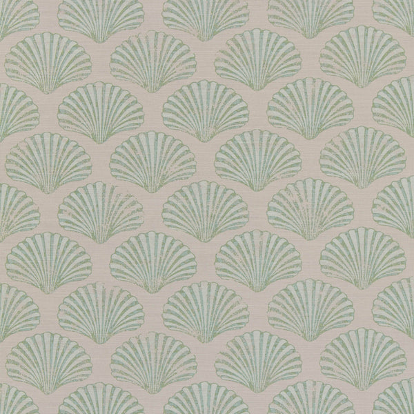 Scallop Shell Fabric
