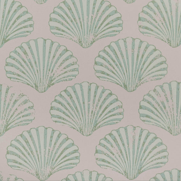 Scallop Shell Wallpaper