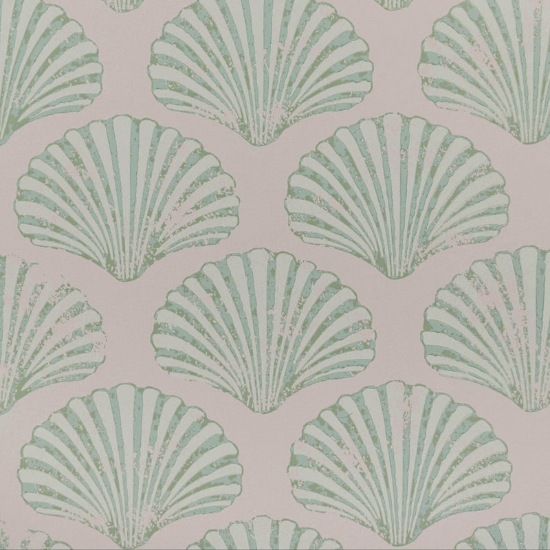 Scallop Shell Wallpaper