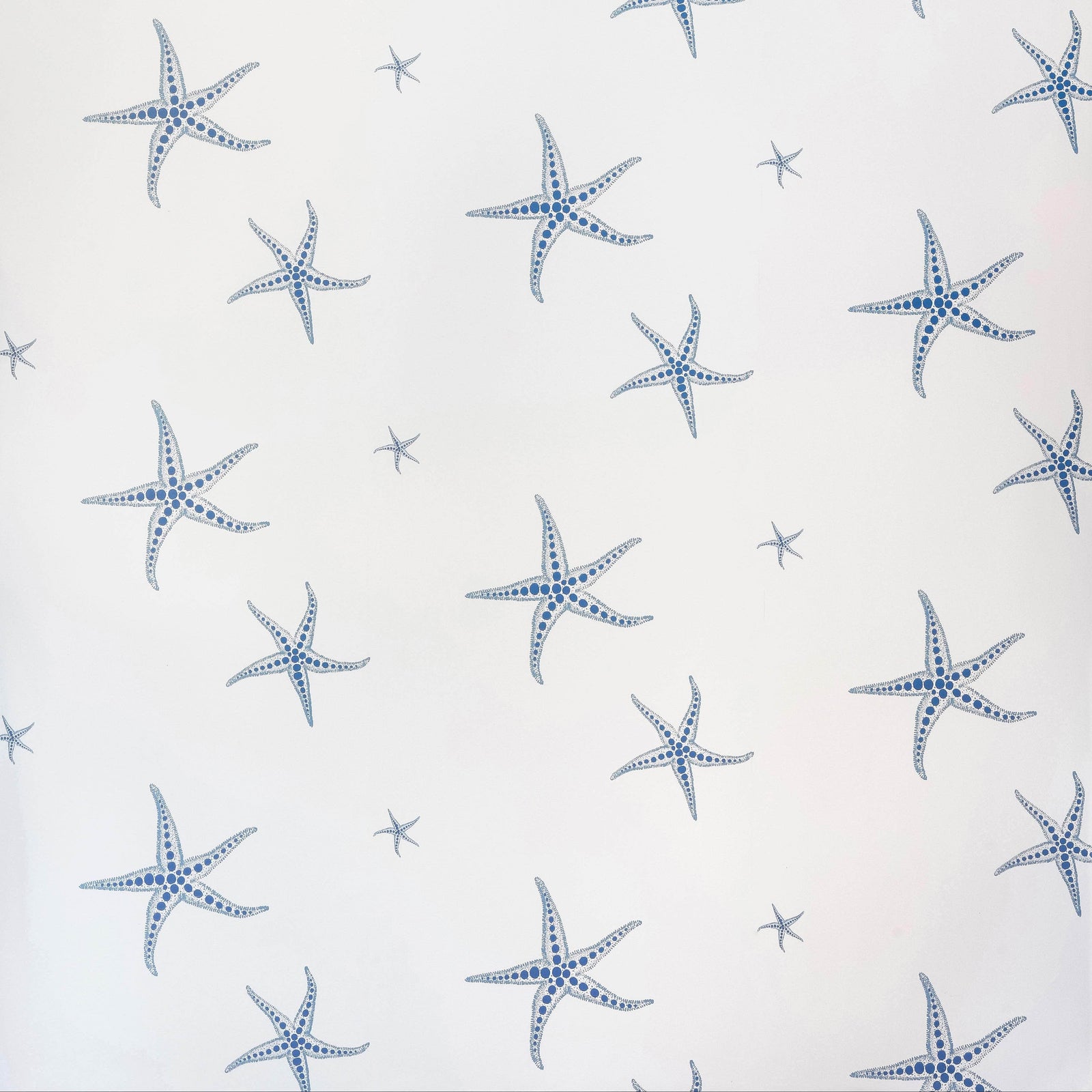 Starfish Wallpaper