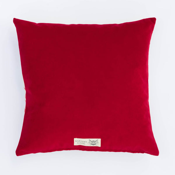Pineapple Cushion