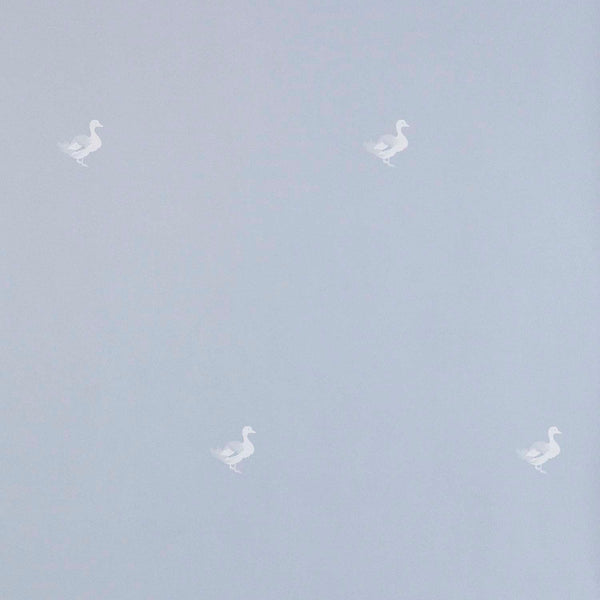 Ducks In A Row Wallpaper – BLUEBIRD