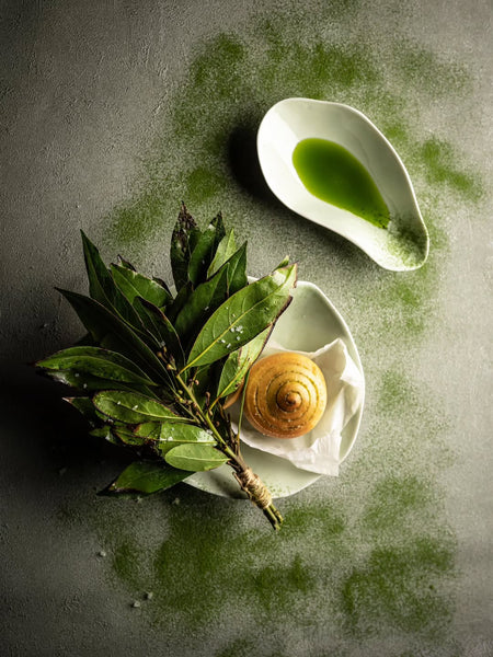 Indulge Nº3 Side Bowl / Jade Green