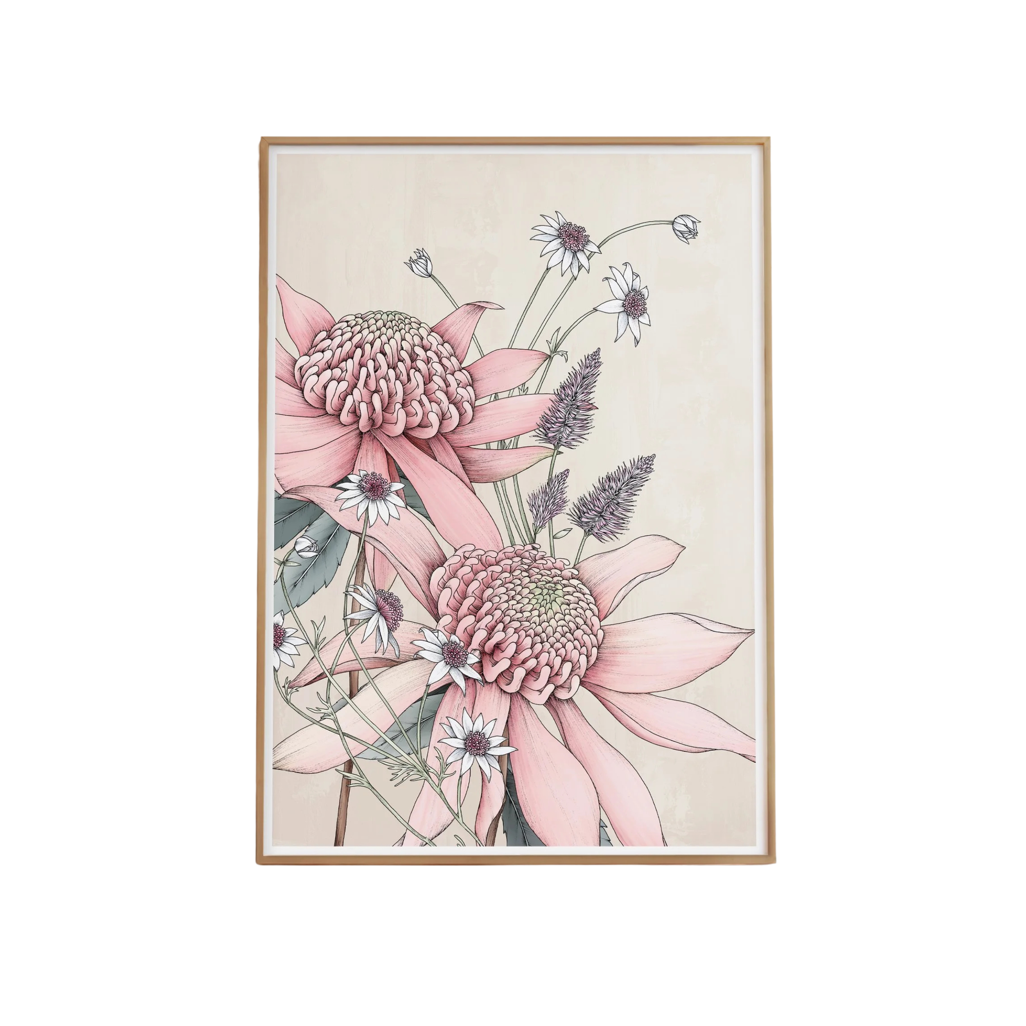 Pink Waratah Portrait Artprint