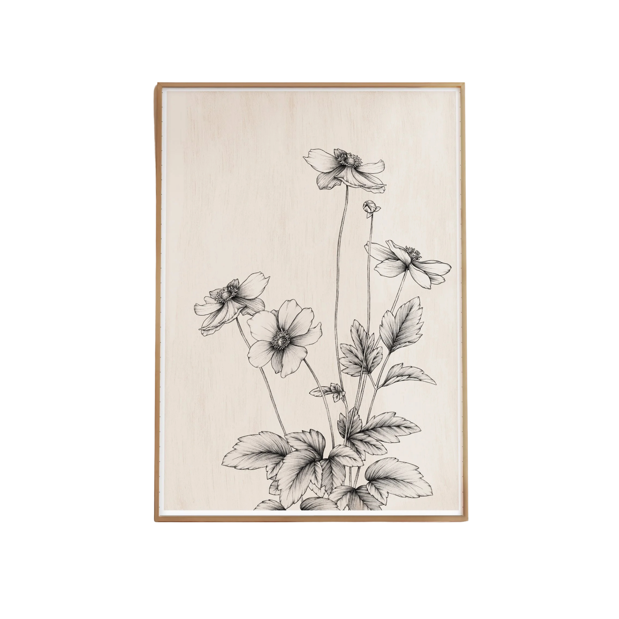 Windflower Study Artprint