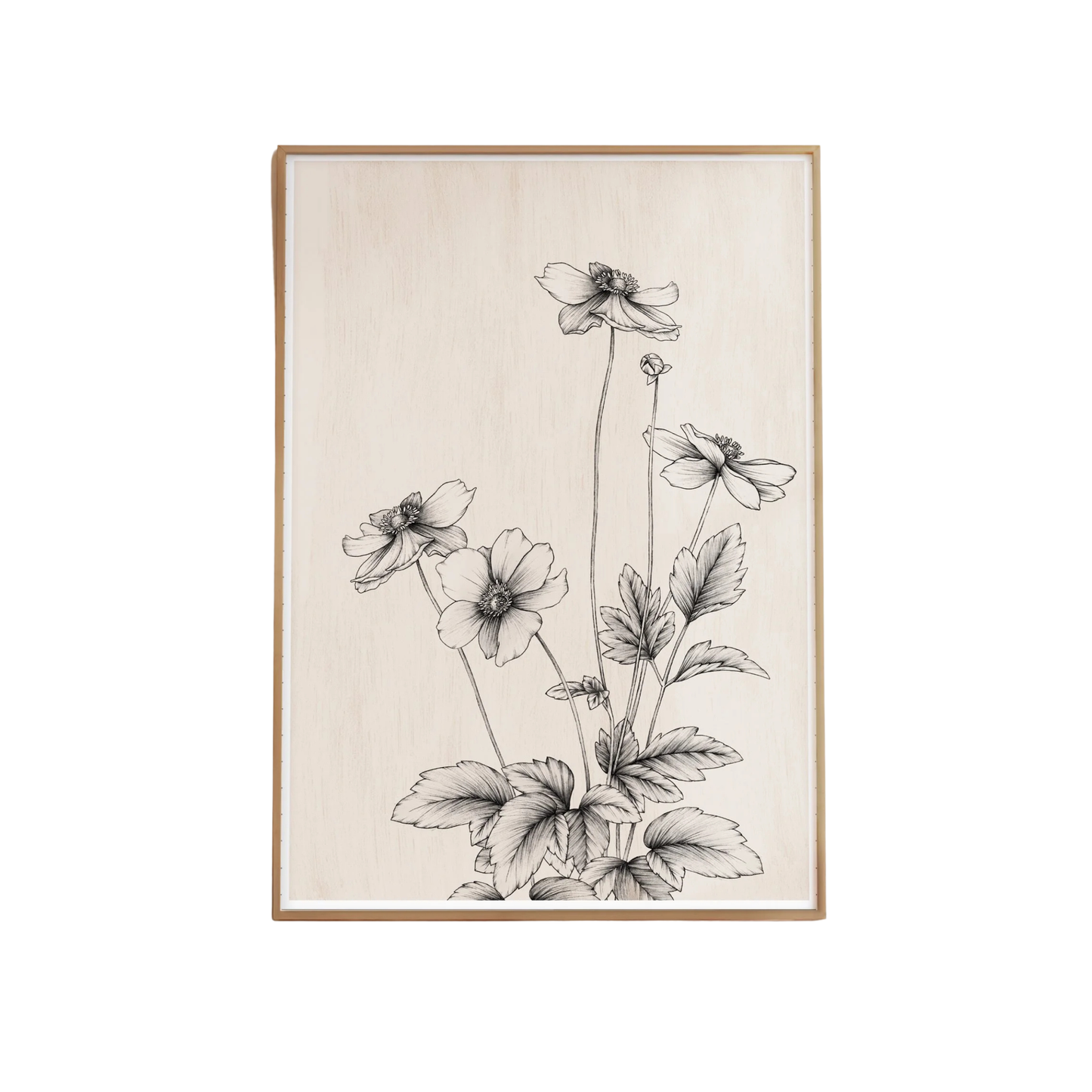 Windflower Study Artprint