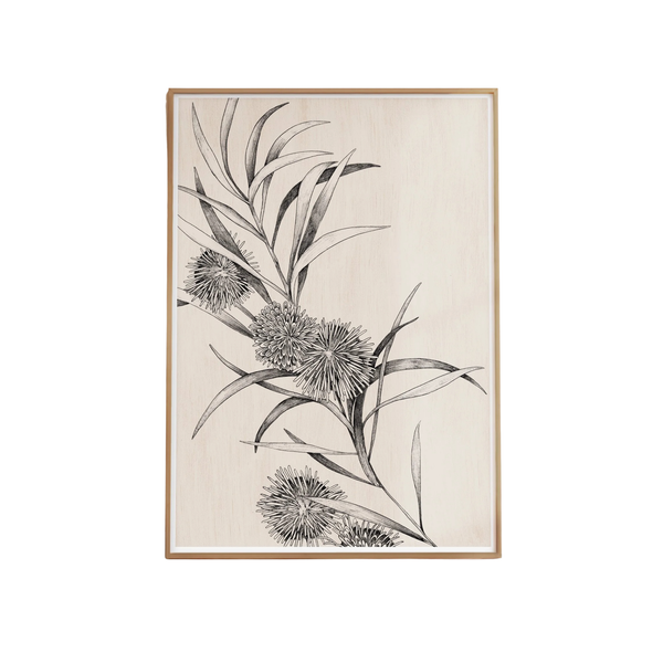 Hakea Study Artprint