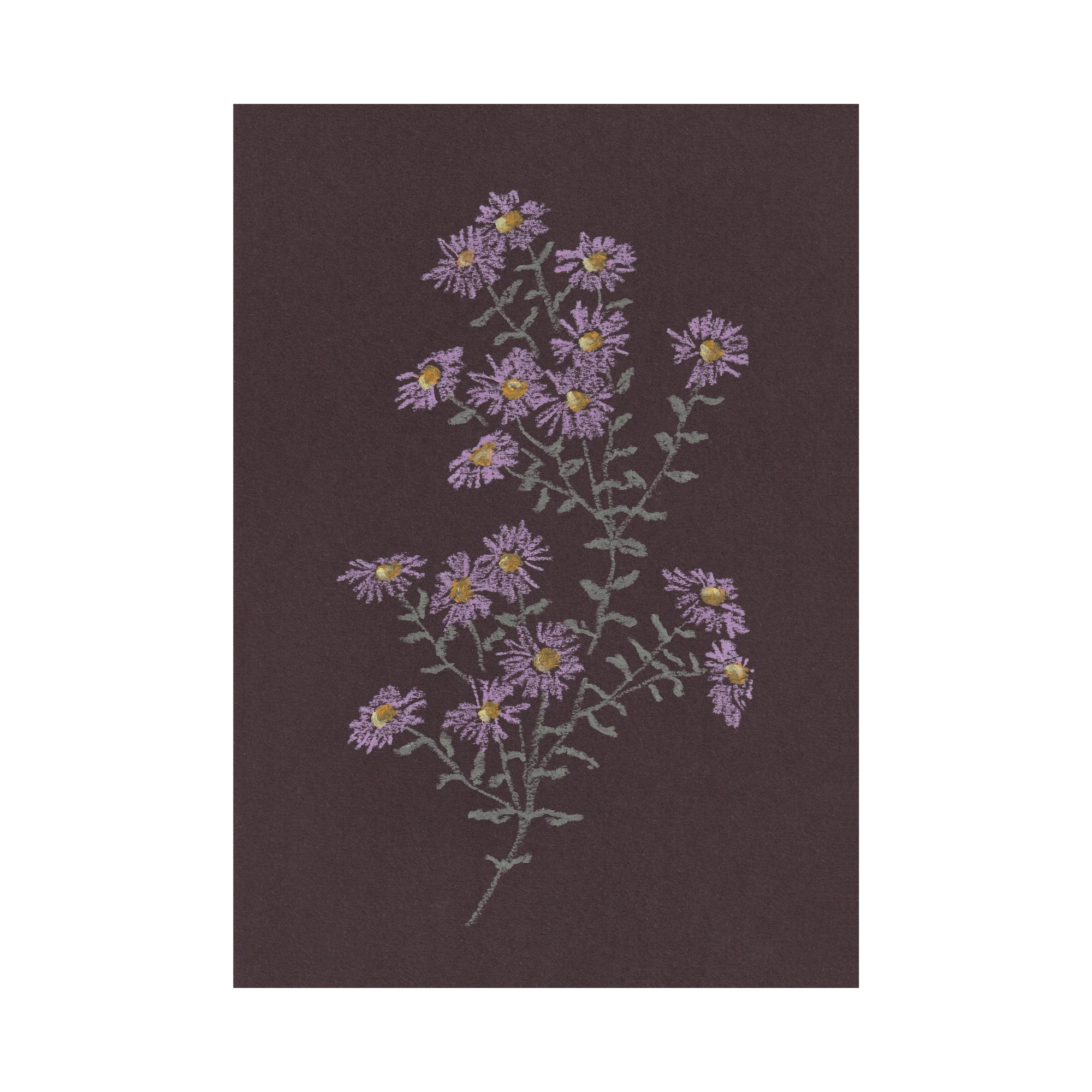 Aster Print
