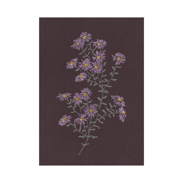 Aster Print