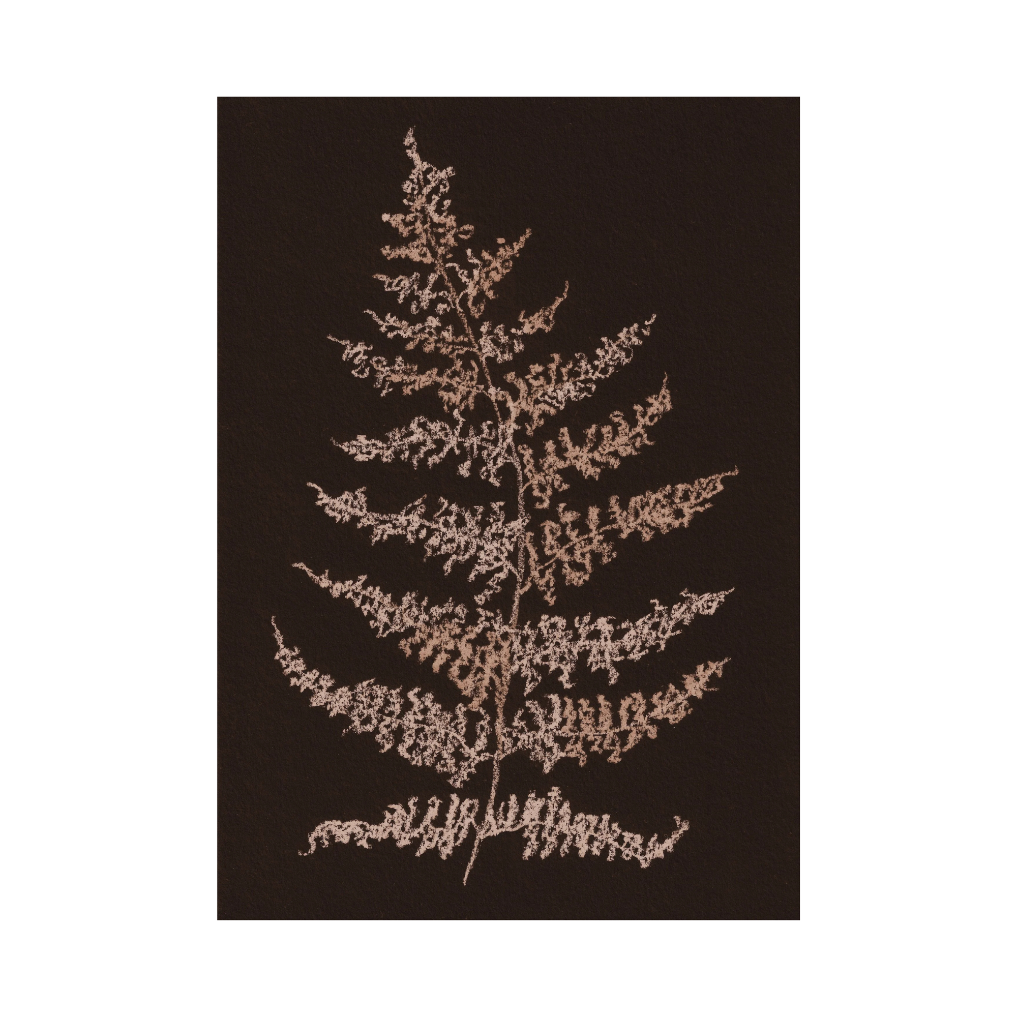 Fern Print - Chocolate