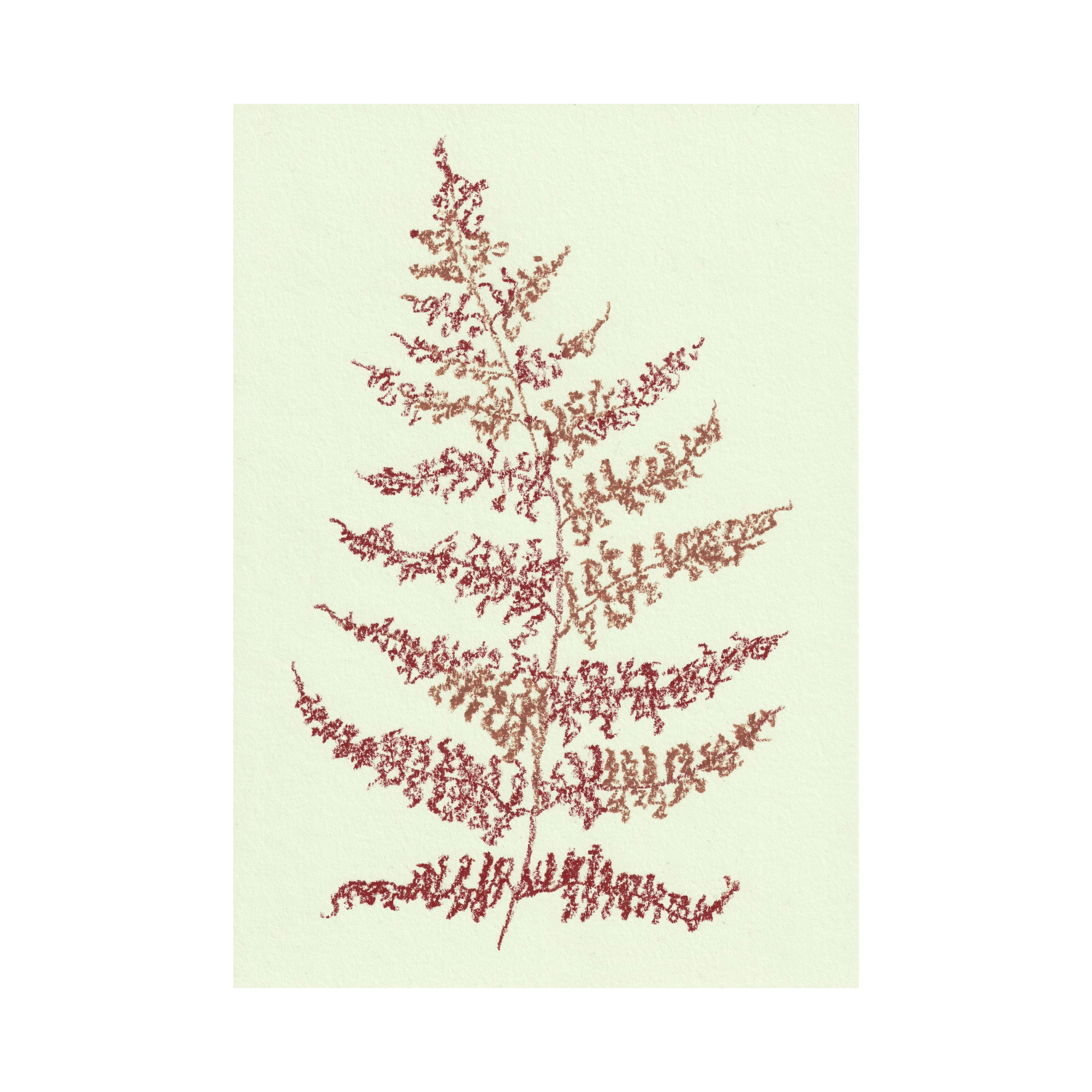 Fern Print