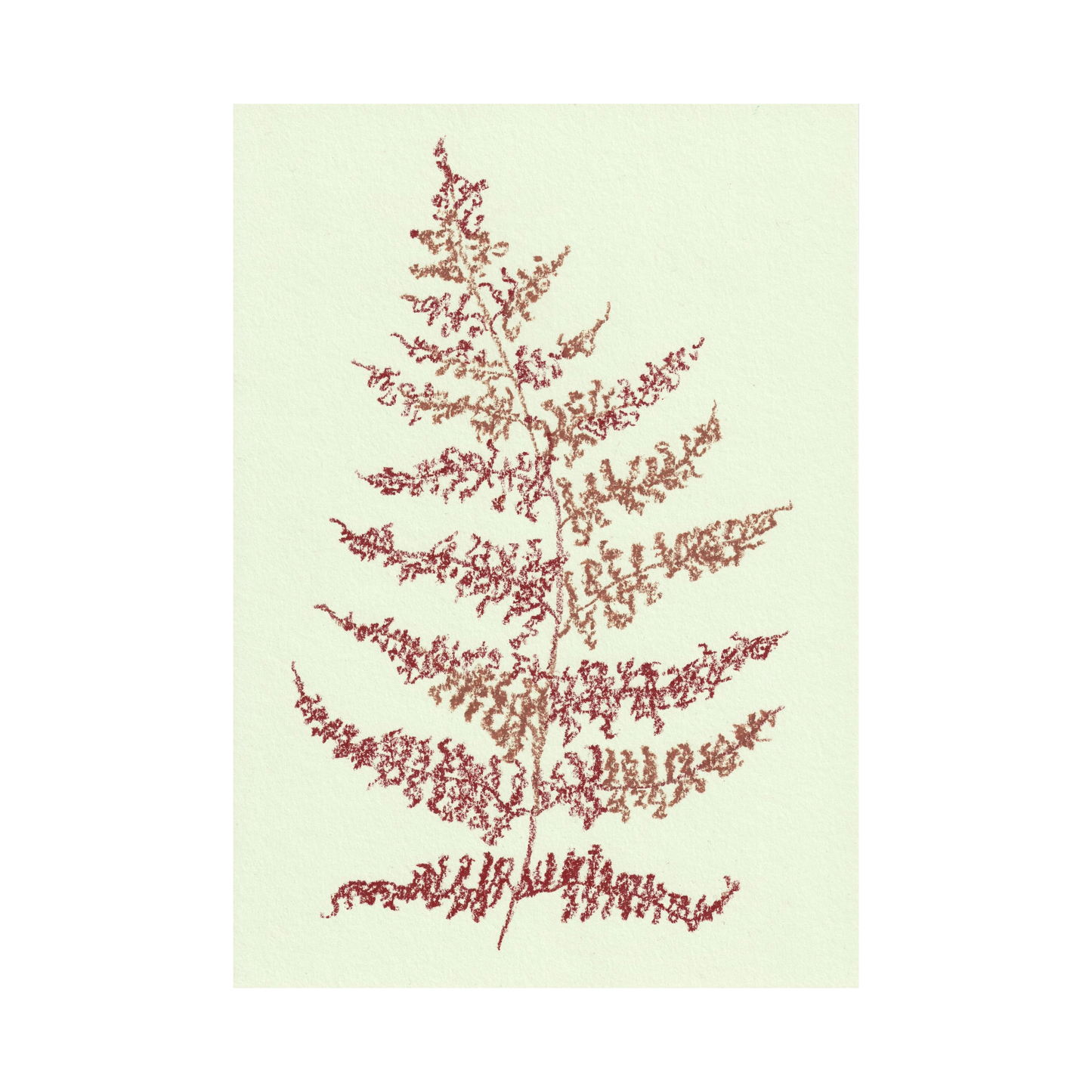 Fern Print
