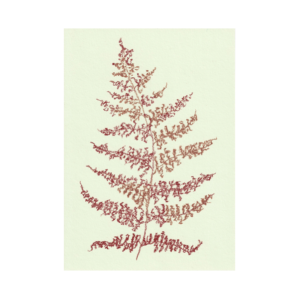 Fern Print