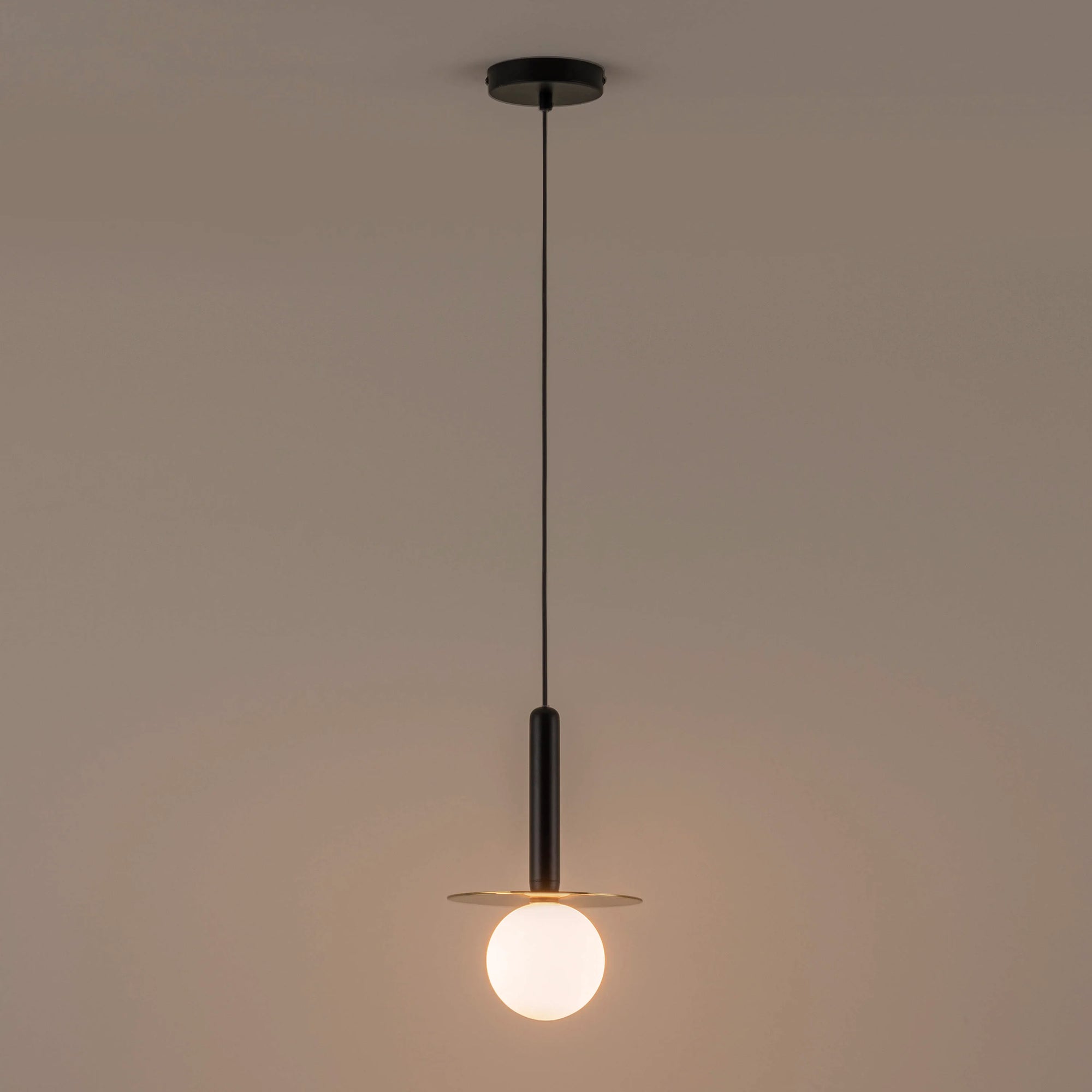 Charcoal grey plate pendant light