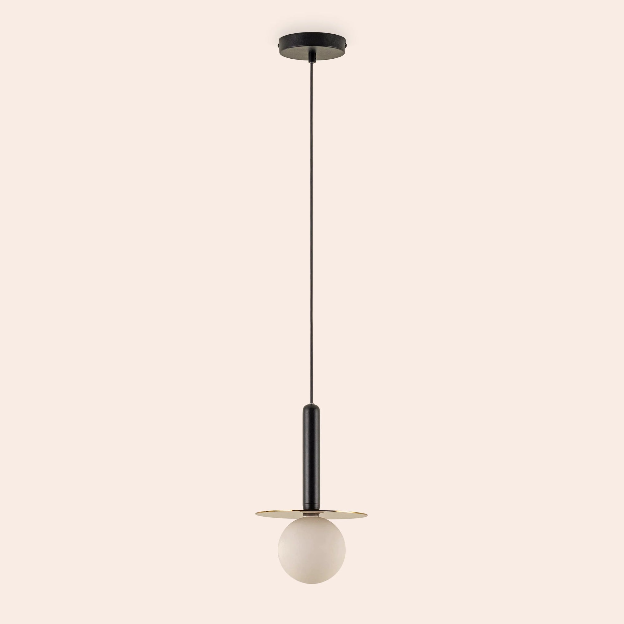 Charcoal grey plate pendant light