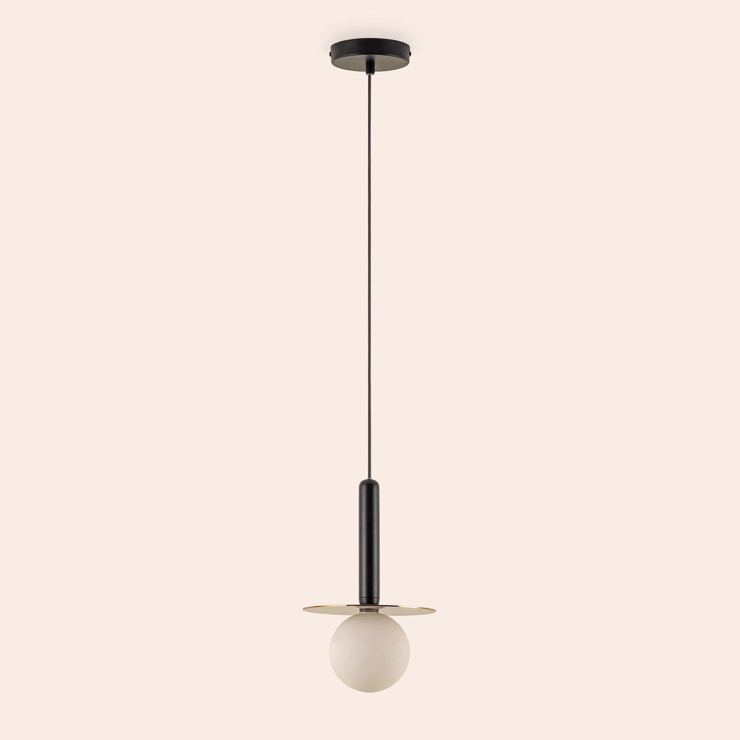 Charcoal grey plate pendant light
