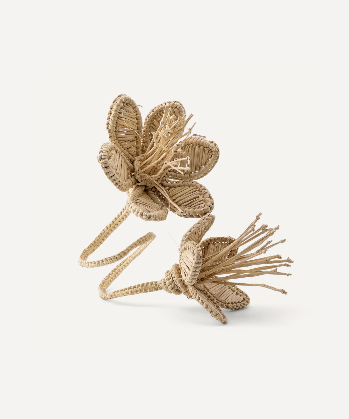 Florencia napkin ring in natural, handwoven iraca palm, holding a folded napkin