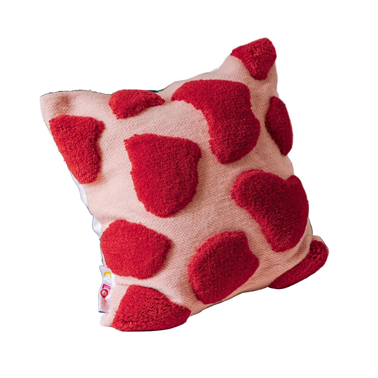 Wild Raspberry Cushion