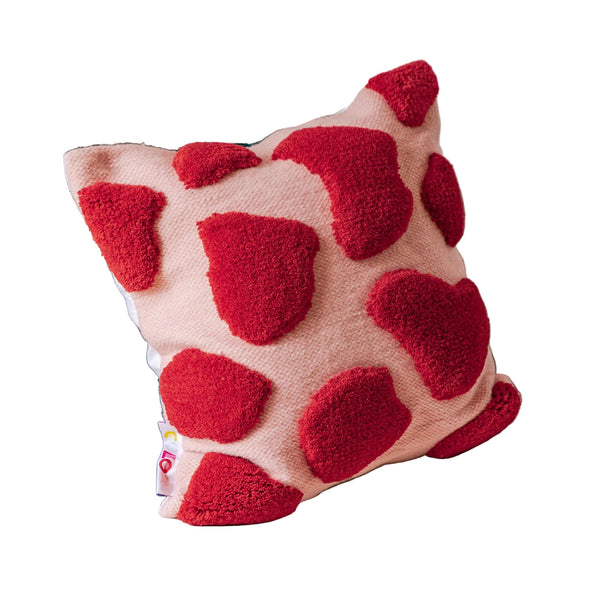 Wild Raspberry Cushion