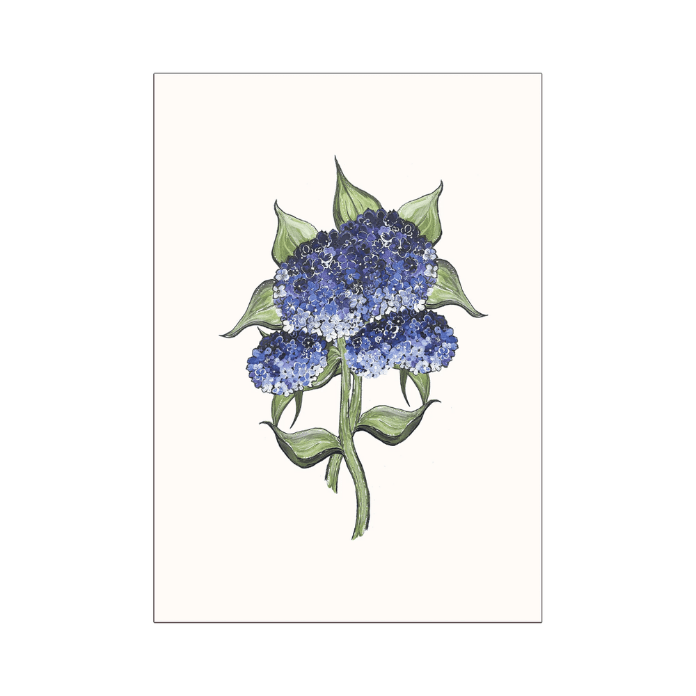 Botanical Hydrangea Print