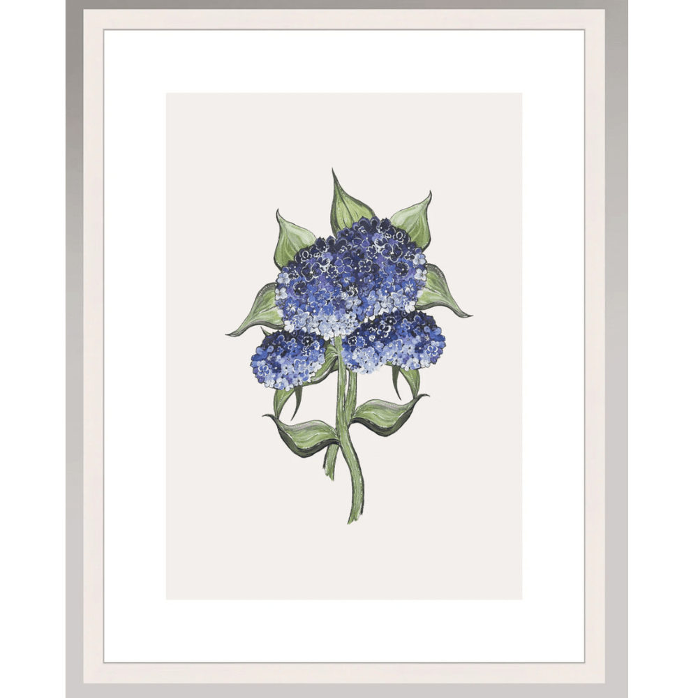 Botanical Hydrangea Print