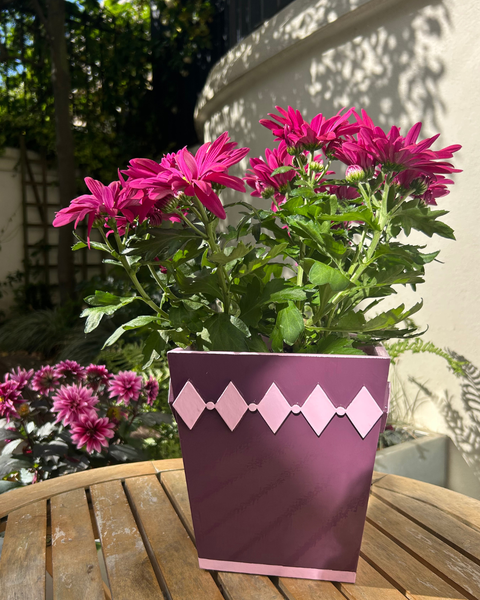 Mulberry Diamond Style Planter with Pink Edge
