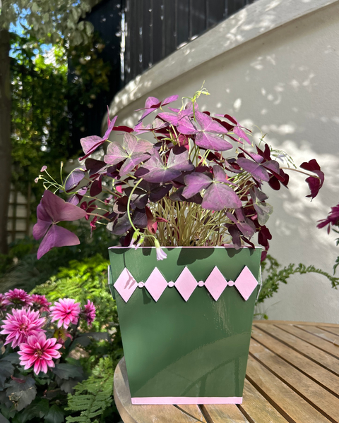Dark Green Diamond Style Planter with Pink Edge