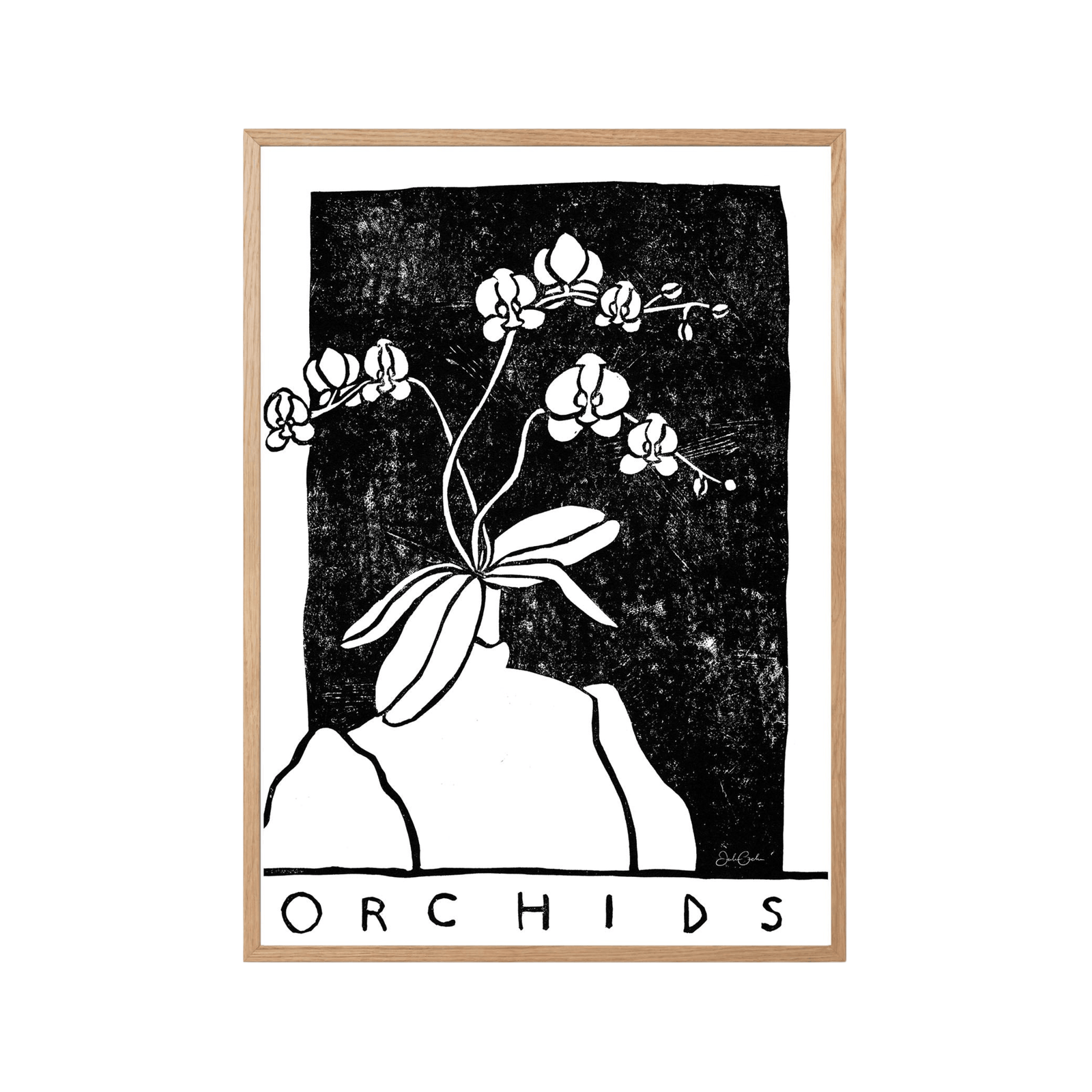 Orchids in Black and White - Print-