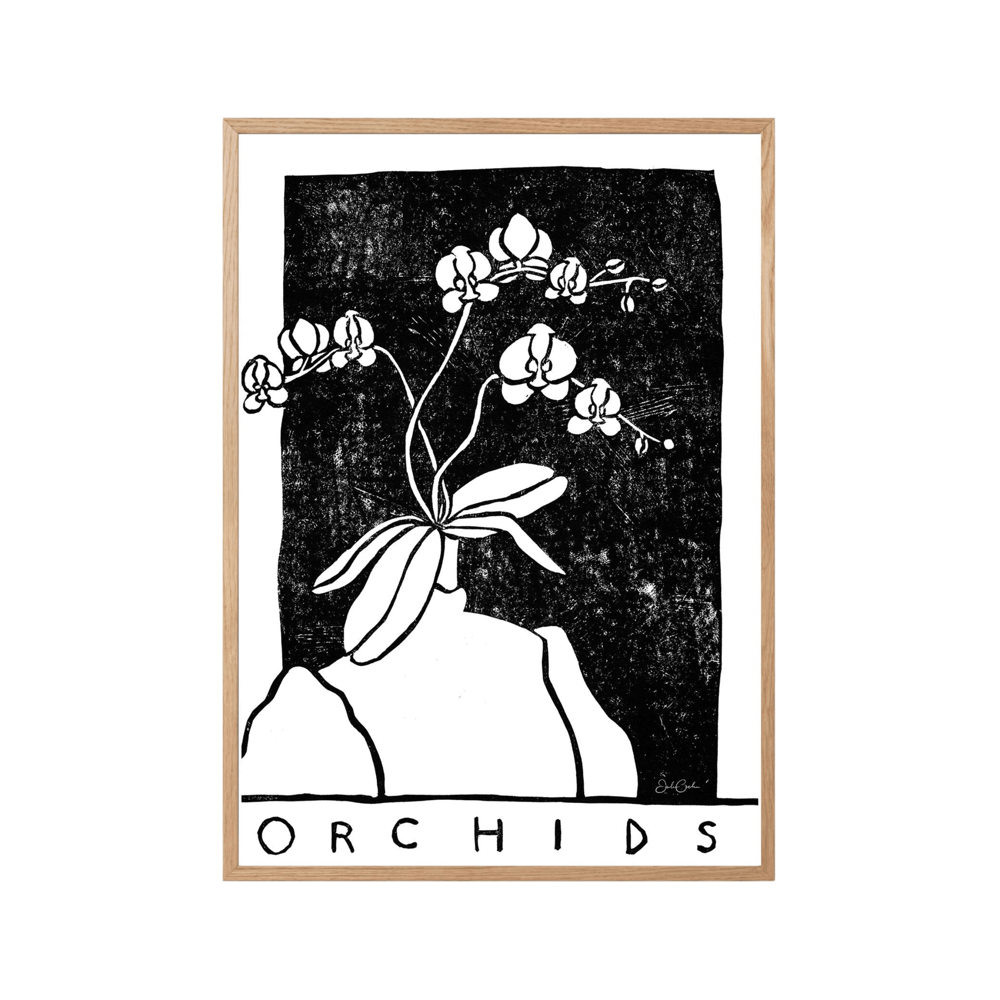 Orchids in Black and White - Print-